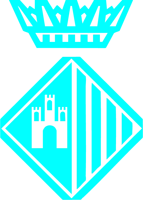 diseno paginas web terrassa Disseny web Terrassa