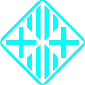 disneo web profesional vic Disseny Web Vic